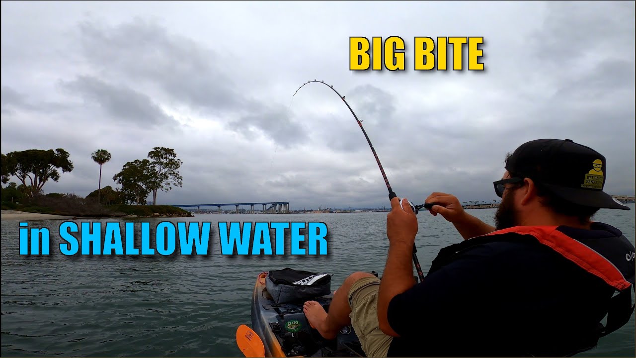 WARBAITS Spinnerbait Was the MVP!!!!