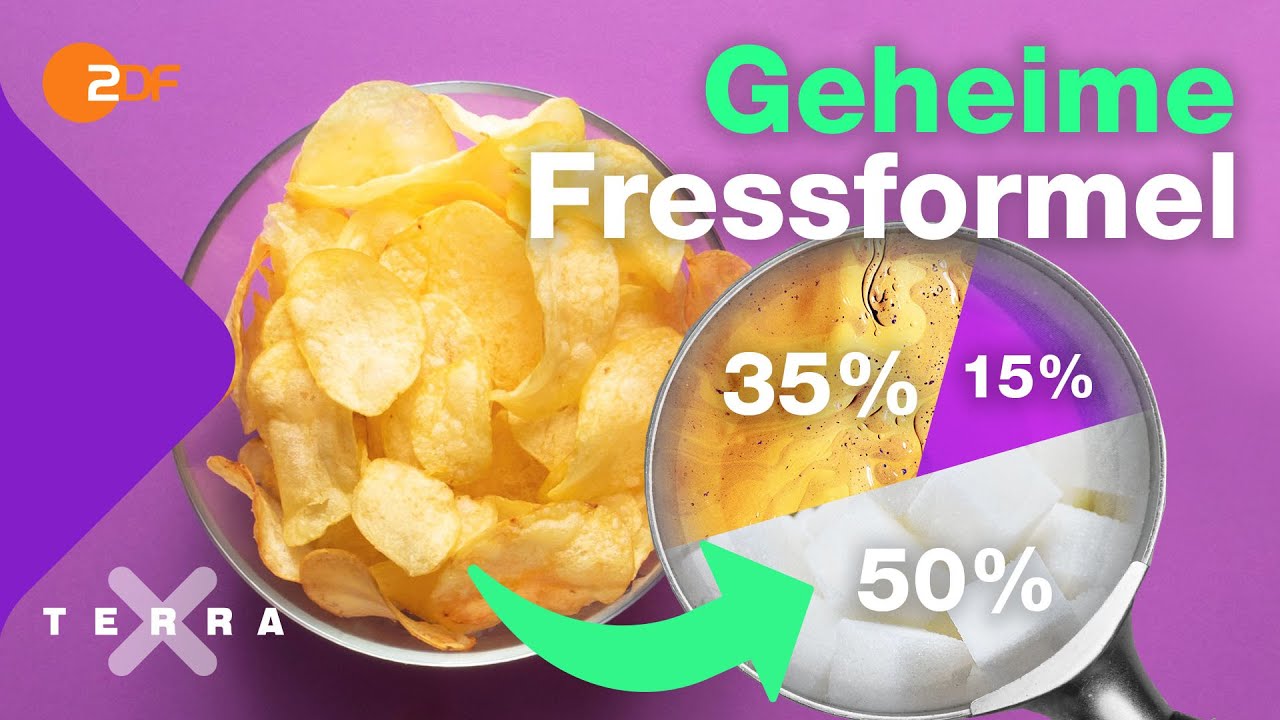 Warum wir so gern Zucker essen | Terra X plus