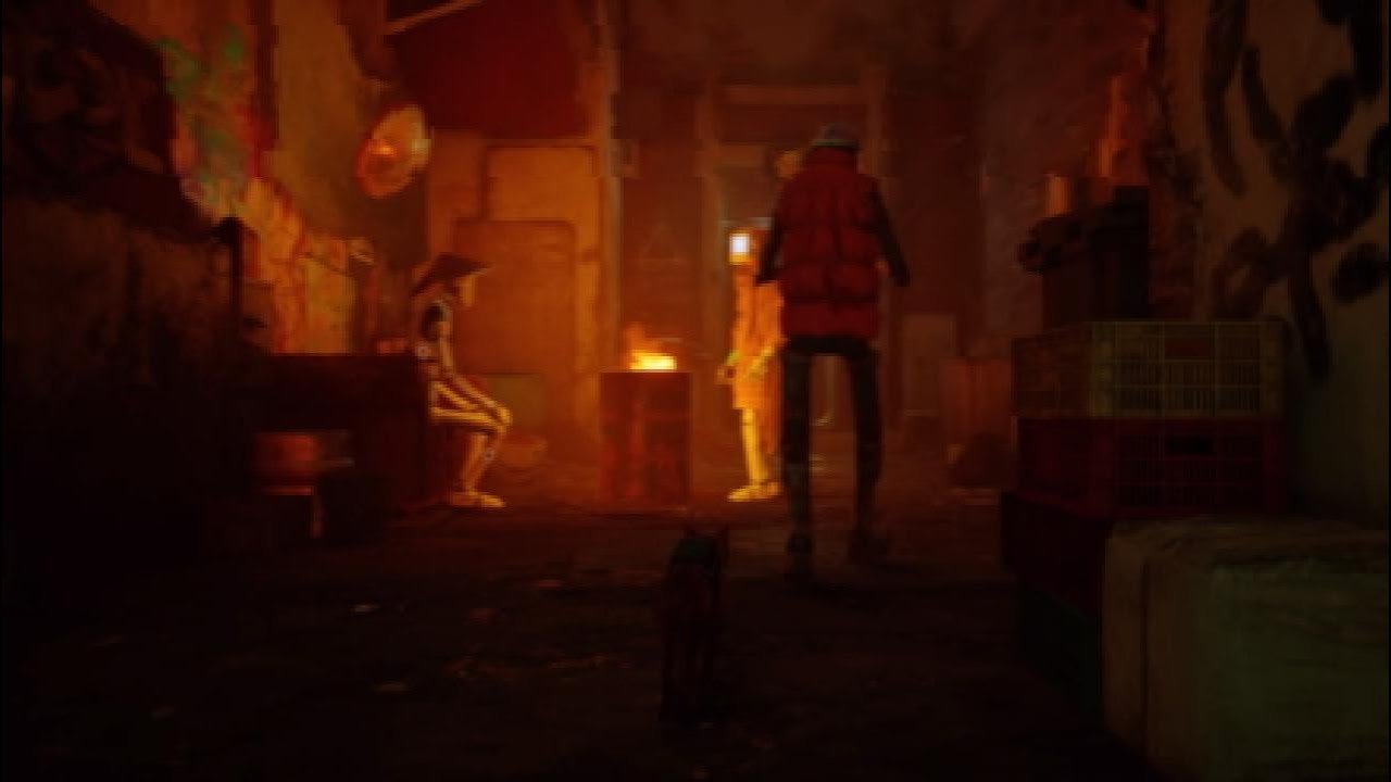 (STRAY) Gameplay - New PS5