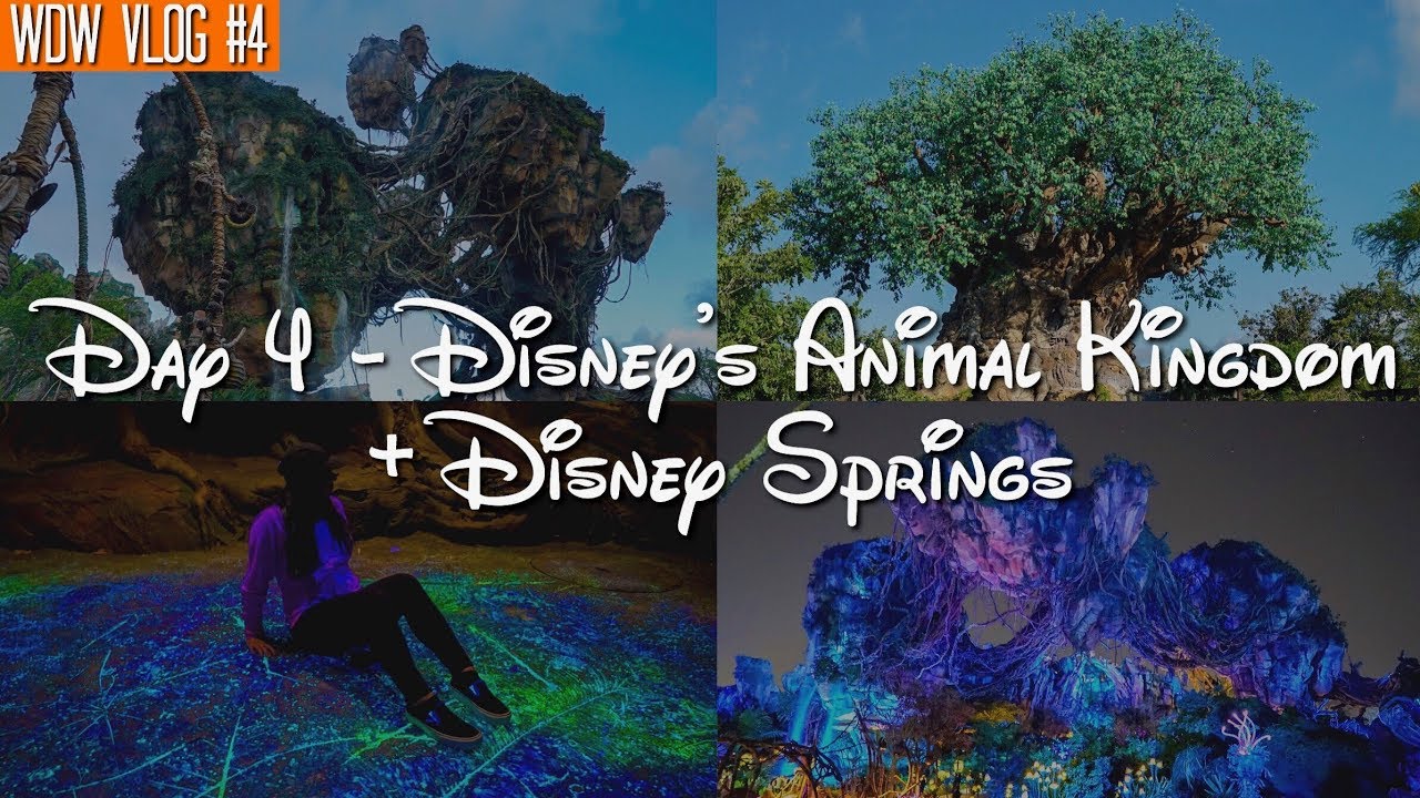 Walt Disney World Vlog: Day 4 - Disney's Animal Kingdom + Disney Springs | October 2017