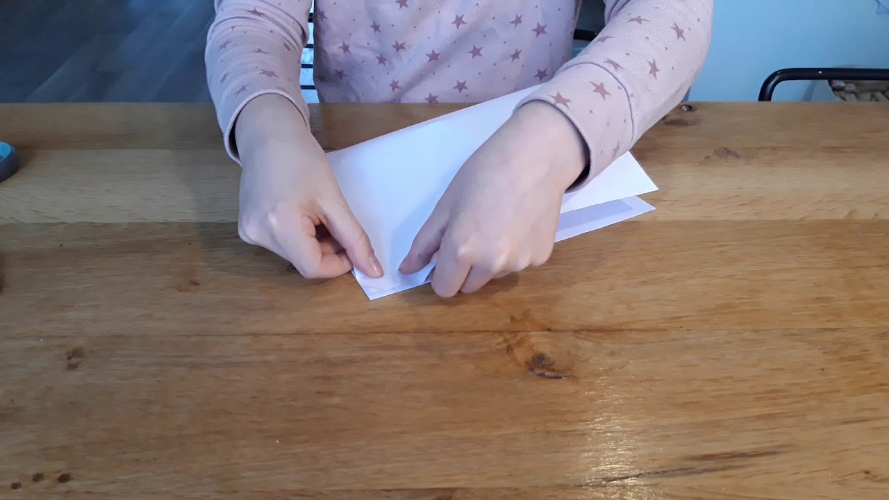 biologieopdracht: vriendenboekjes over de 4 rijken