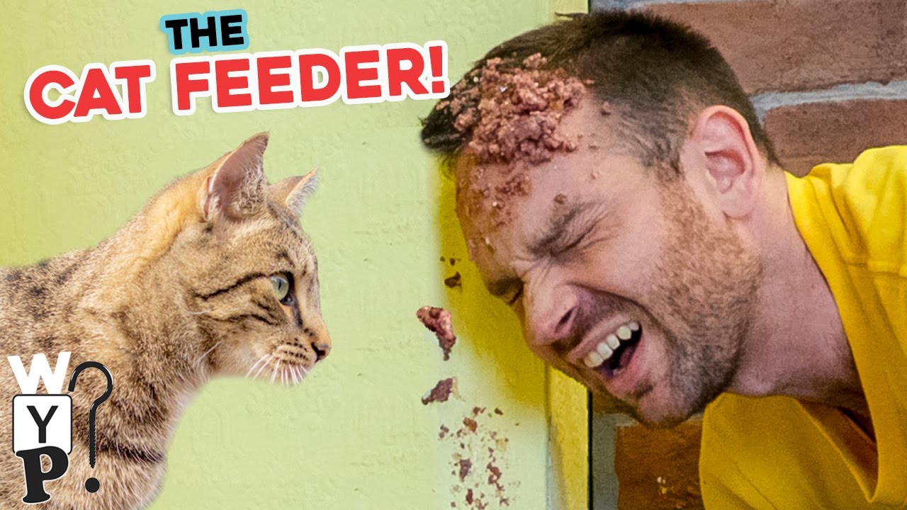 The Cat Feeder  |  What's Your Problem?
