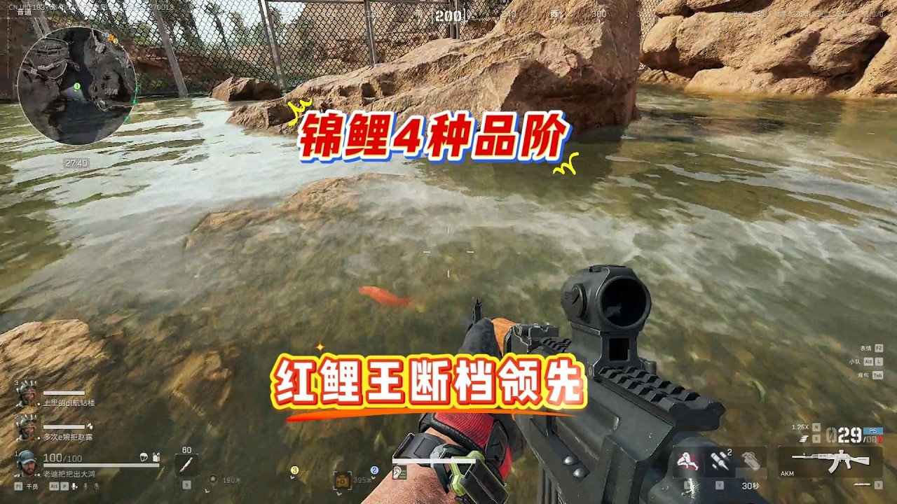 幸運錦鯉分為四種等級，紅鯉王遙遙領先