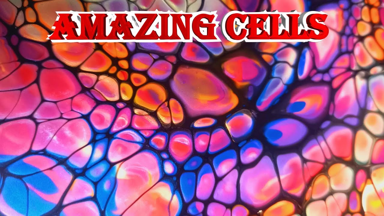 #769  Stunning cells in this Radial swipe👍🐨