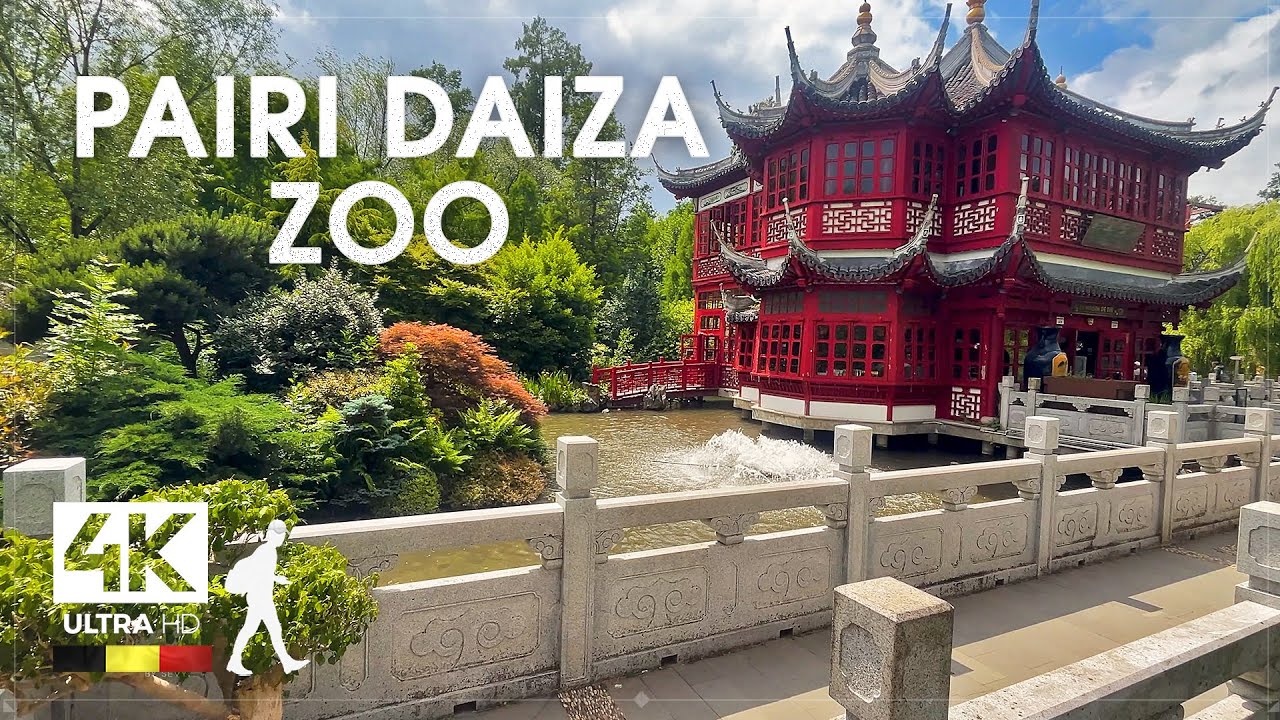 Pairi Daiza Zoo 🐘 Animal Paradise inside Belgium - Slow TV 4K