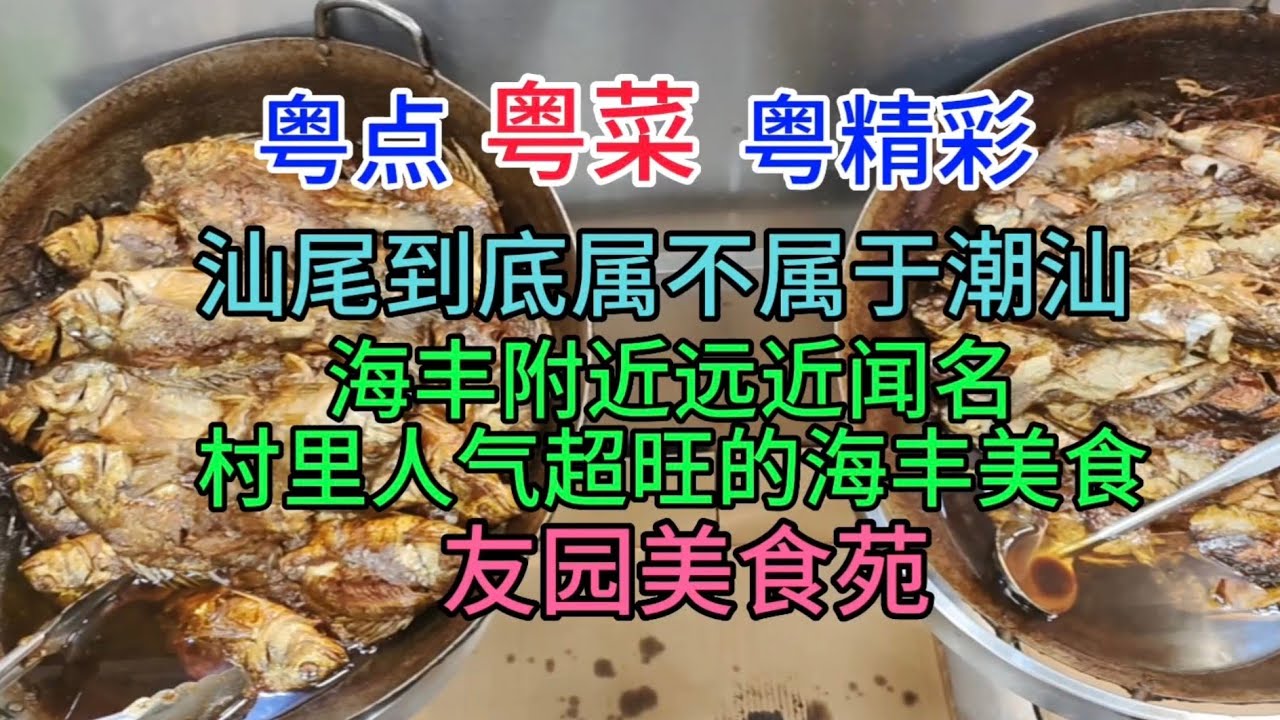 粤点粤菜粤精彩，汕尾到底属不属于潮汕，海丰附近远近闻名，村里超旺的海丰美食，友园美食苑，粤语中字幕2023-7-22