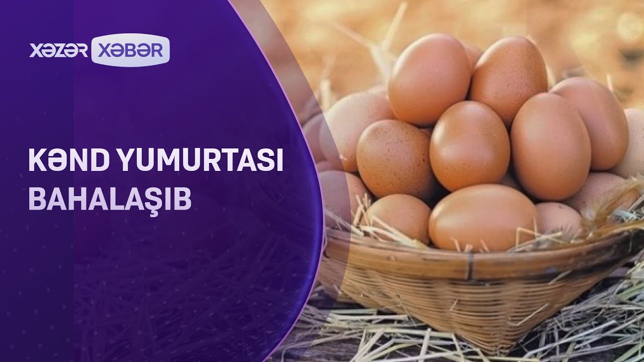 Kənd yumurtası bahalaşıb