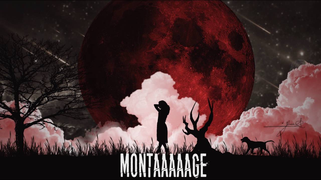 MONTAGE - Swiss Army Man (Lyric Video)