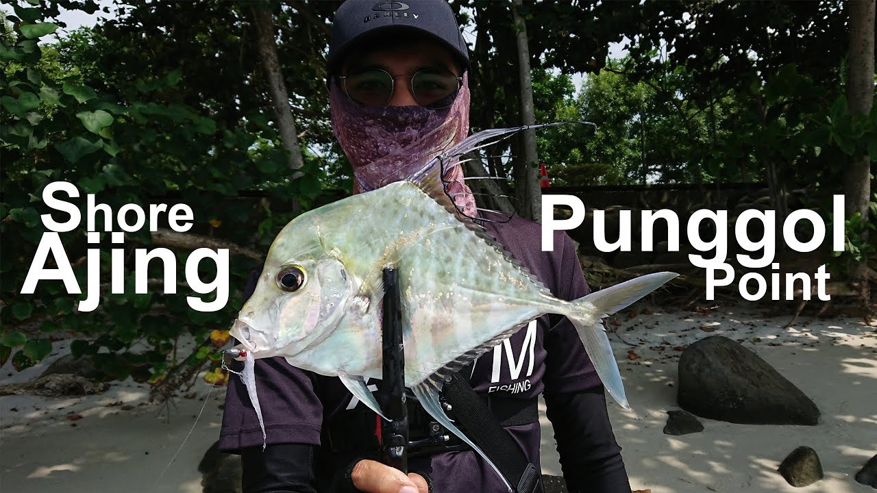 Рыбалка на мысе Пунггол: Shore Ajing Diamond Trevally Fishing