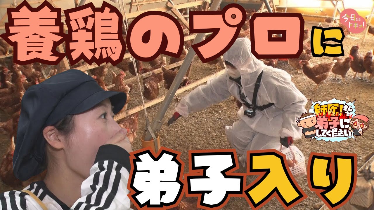 【＃１２＆１３】「師匠！私を弟子にしてください」ブランド卵のプロに1日弟子入り～前後編～（1月12&20日放送）