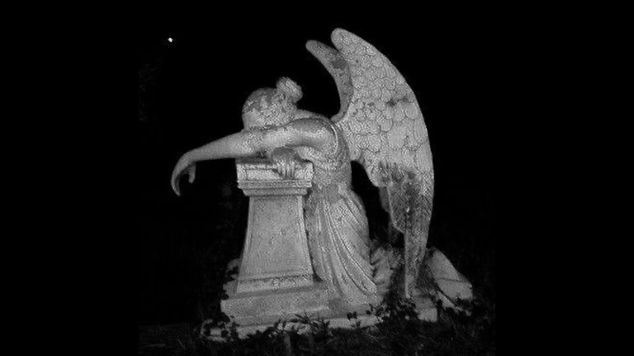 [FREE FOR NON-PROFIT] | VAMP (prod. M1chaU3k)