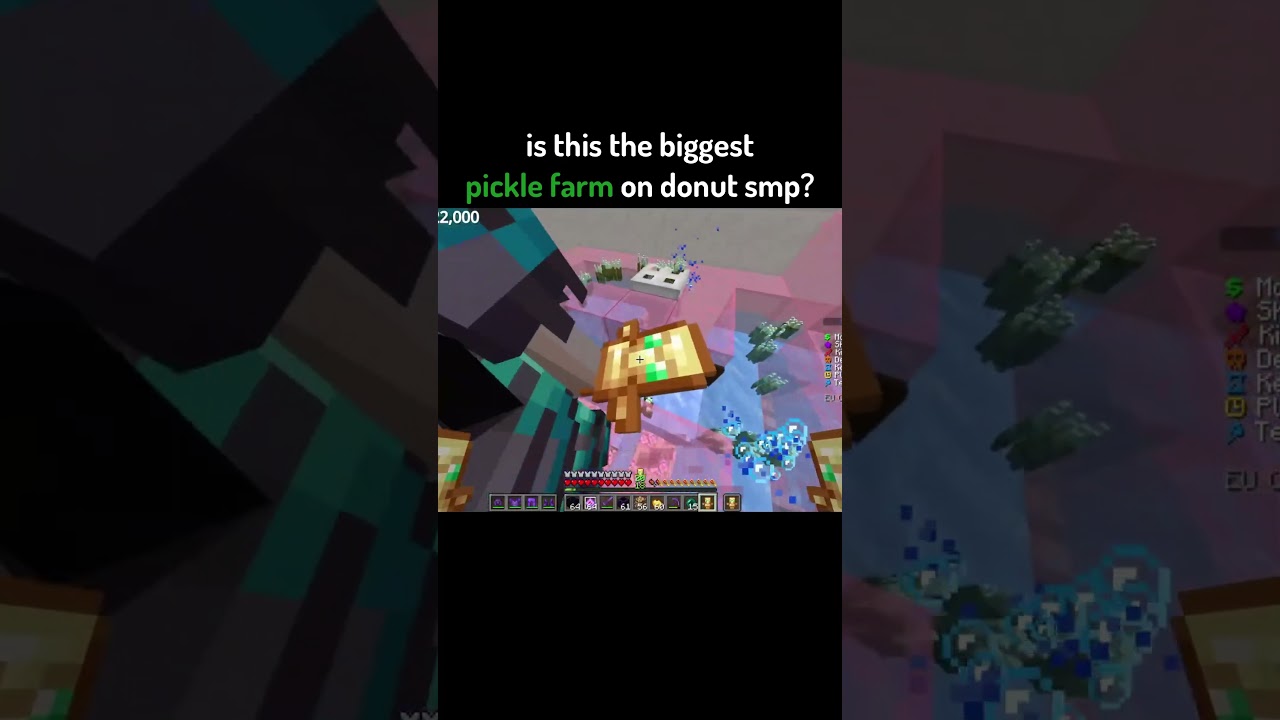 Might Be The BIGGEST Pickle Farm On Donut SMP