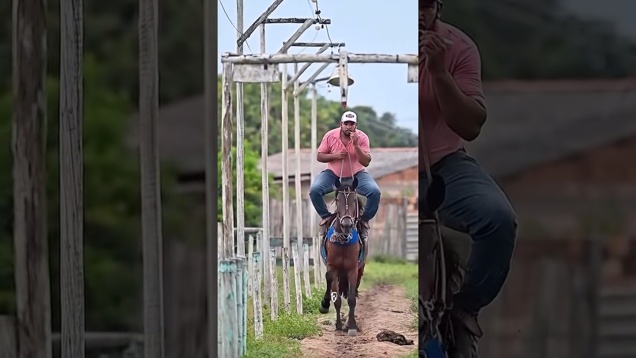 C&ecirc; n&atilde;o pita n&atilde;o? O verdadeiro significado de andar a #cavalo 😮 #cowboy #horse #animais #campe&atilde;o