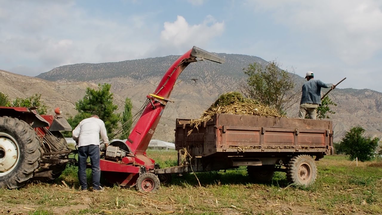 GÜNDE 10 BALYA KAR / OT BİÇME MAKİNASI / SİLAJ MAKİNASI