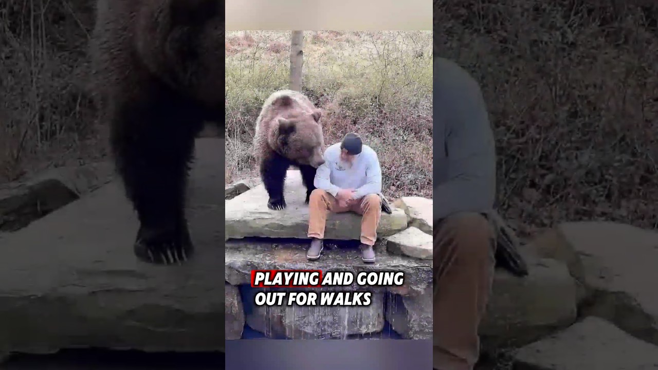 The kind man saved an orphaned bear cub, and then this happened 