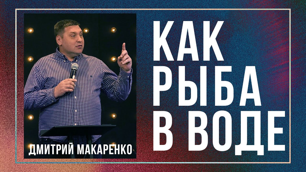 Дмитрий Макаренко &ndash; Как рыба в воде
