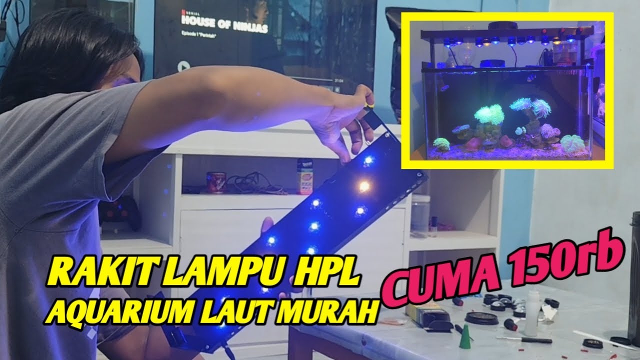 BIKIN LAMPU HPL AQUARIUM LAUT MURAH UNTUK PICO REEF TANK AKU GUYS !!!!