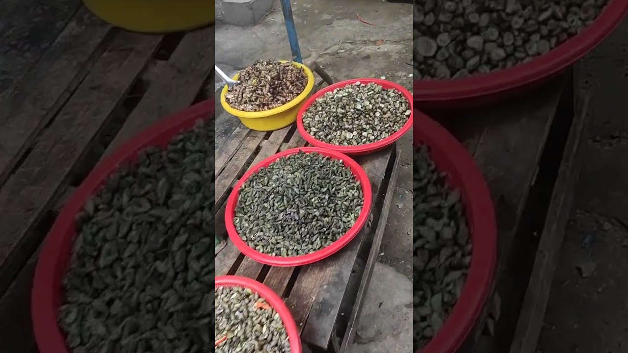 Chợ Tết Ninh Diêm, khu vực Hòn Khói Dốc Lết.