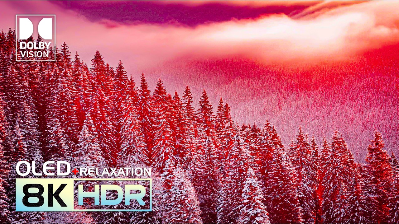 Unexpected NATURE HDR OLED 8K Video ULTRA HD | Dolby Vision 120fps (8K/4K Video TV)