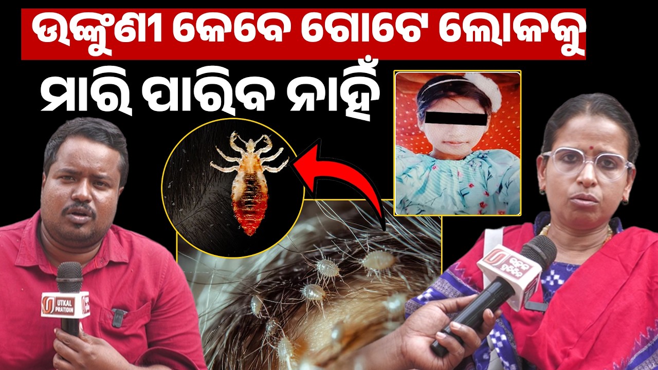 ଉଙ୍କୁଣୀ କେବେ ଗୋଟେ ଲୋକ କୁ ମାରି ପାରିବ ନାହିଁ ! Health Tips ll 