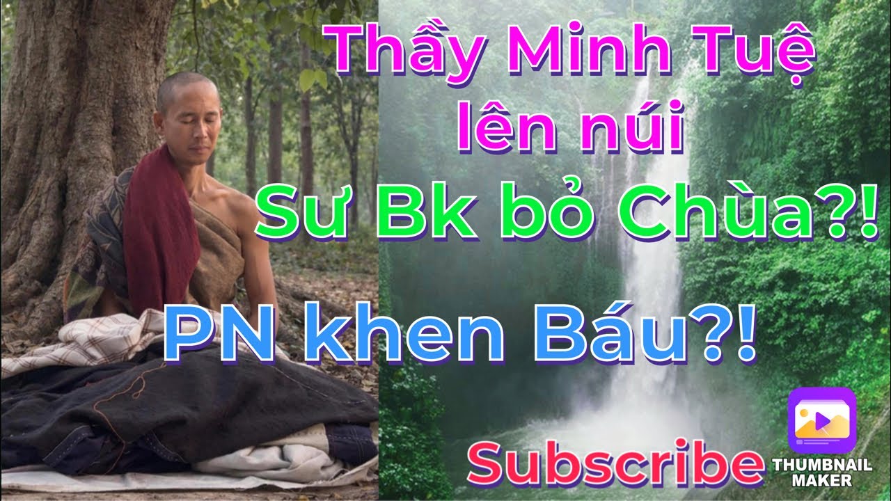 Thầy MT lên núi,Sư BK bỏ Chùa,PN khen Báu?’