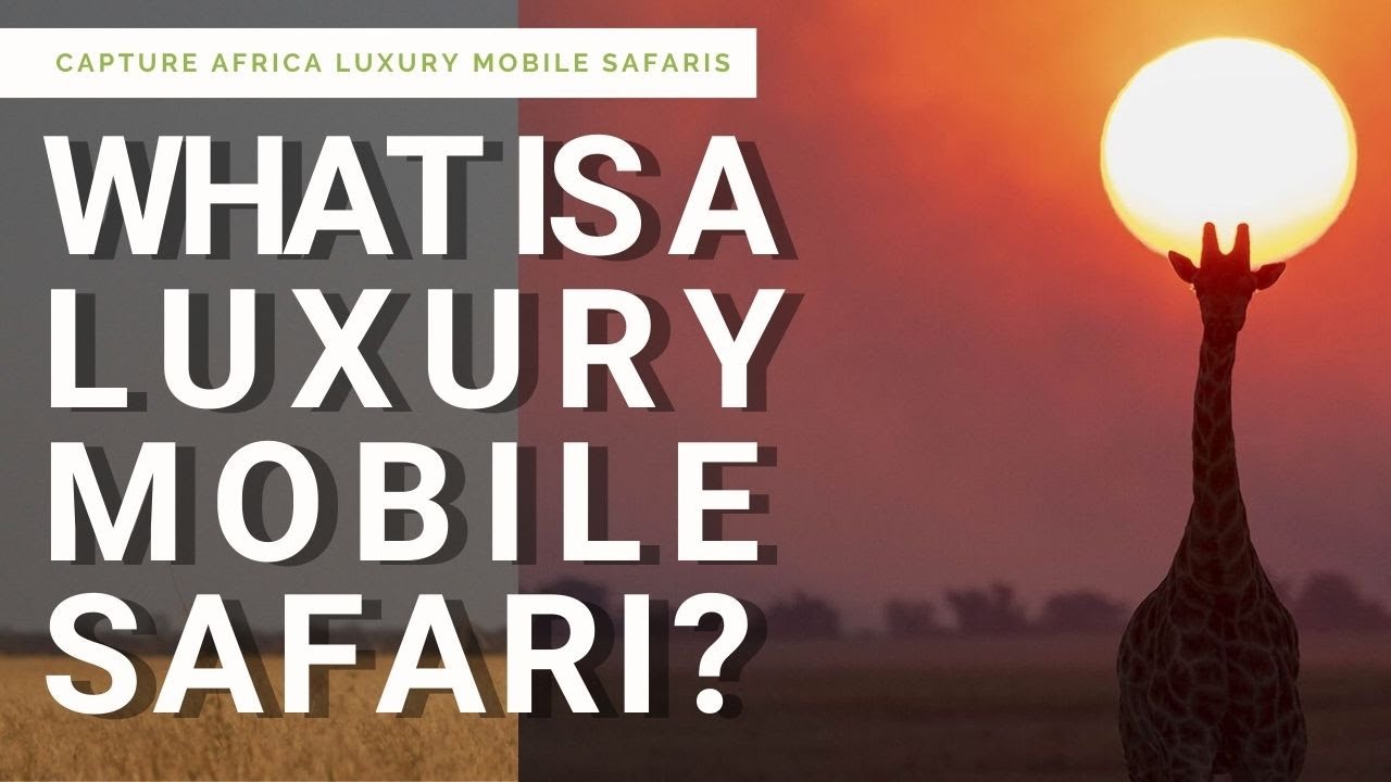 What is a Luxury Mobile Safari?