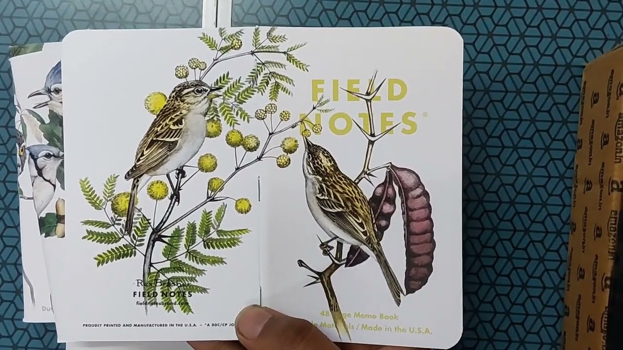 My ENTIRE Field Notes Collection 📖