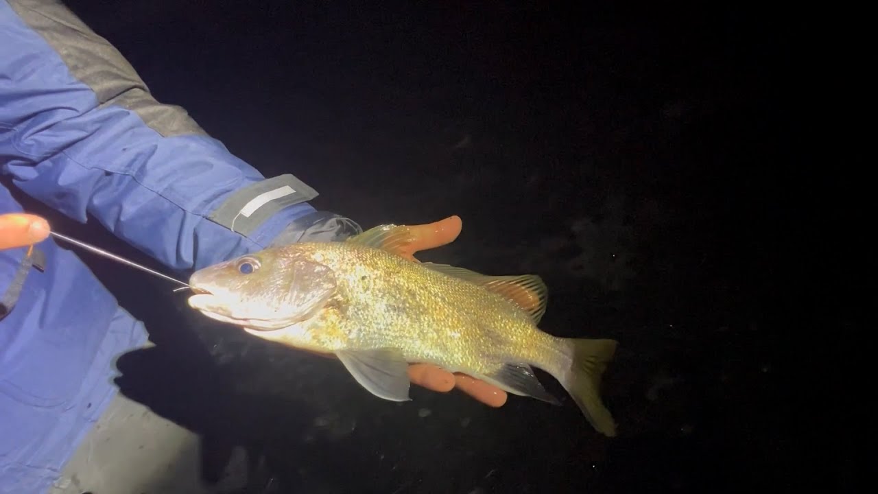 Surfcasting in Liguria con la Greystone (Italcanna)