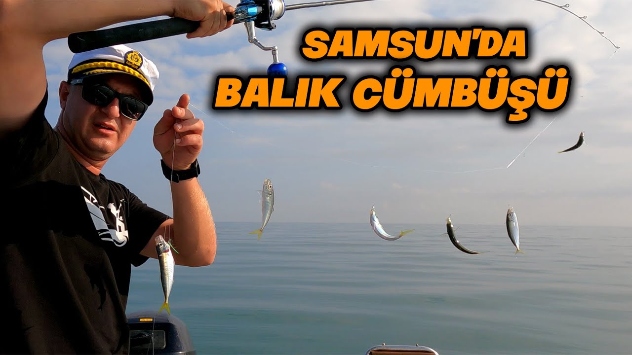 SAMSUN İSTAVRİTE DOYDU ! BALIK BULUCU İLE İSTAVRİT AVI - KARADENİZ İSTAVRİT AVI 2022