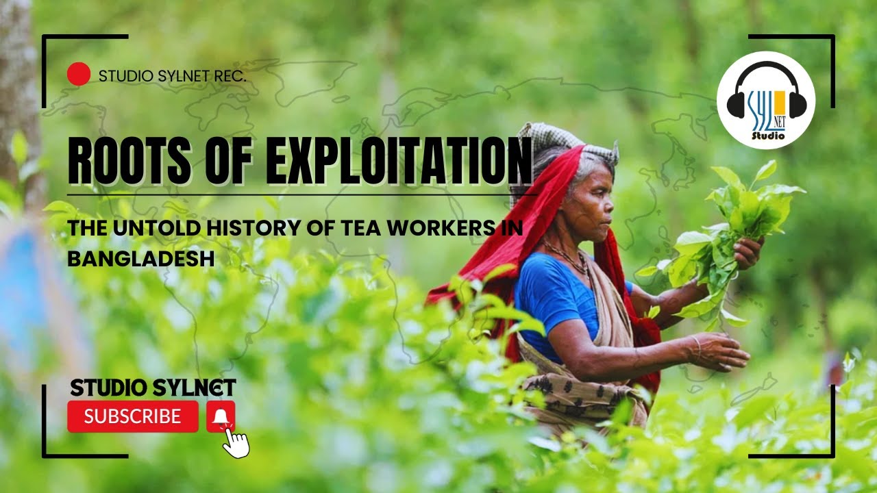 Roots of Exploitation | The Untold History of Tea Workers in Bangladesh | Studio Sylnet Presentes