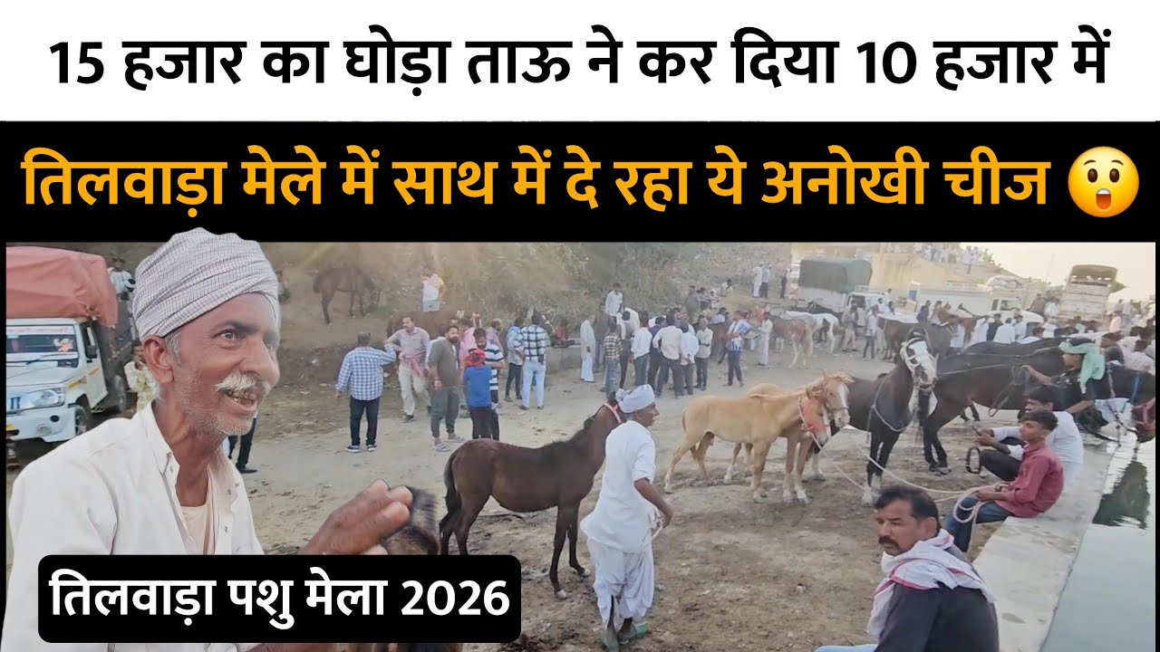 15 हजार का घोड़ा ताऊ ने कर दिया 10 हजार में- तिलवाड़ा मेले में साथ में दे रहा ये अनोखी चीज 😲