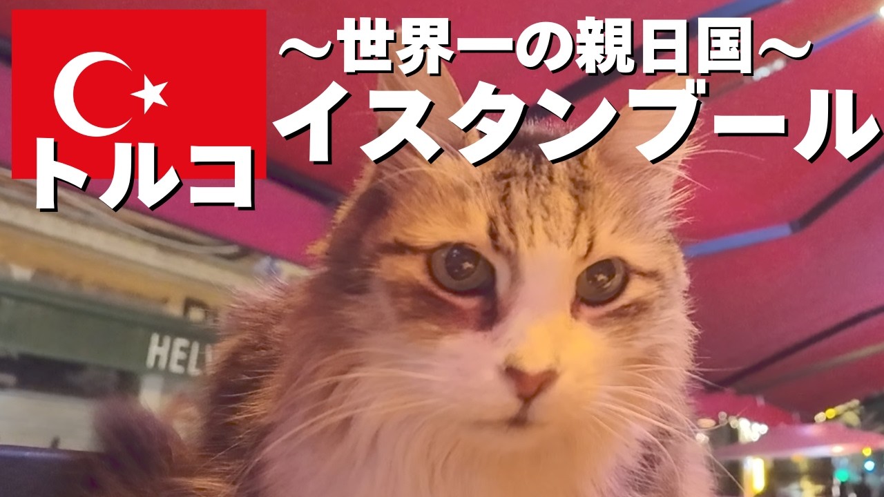 【トルコ】初めてイスタンブールに行ったら最高でした。