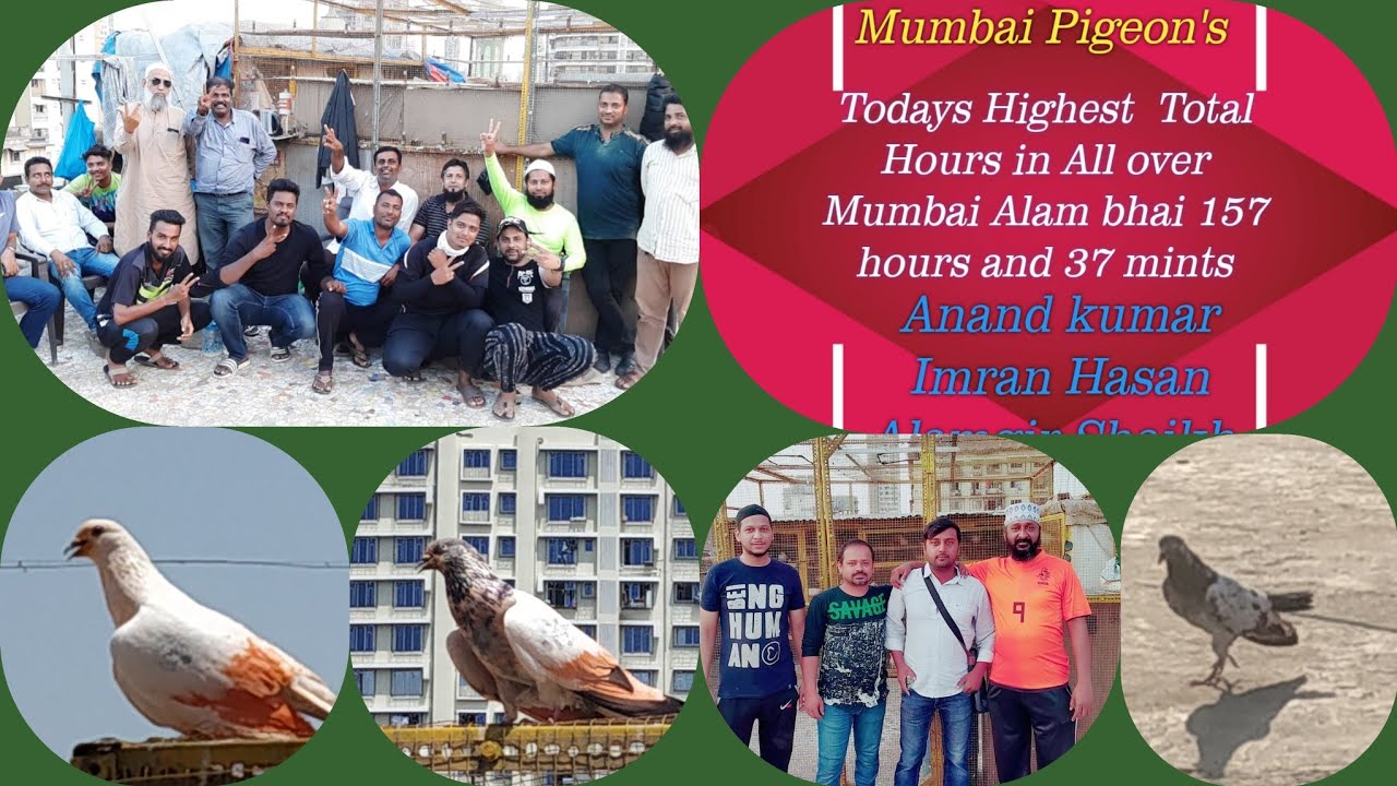 Mumbai Pigeon Tournament - 1st Udaan 7th April 2019, Mumbai.