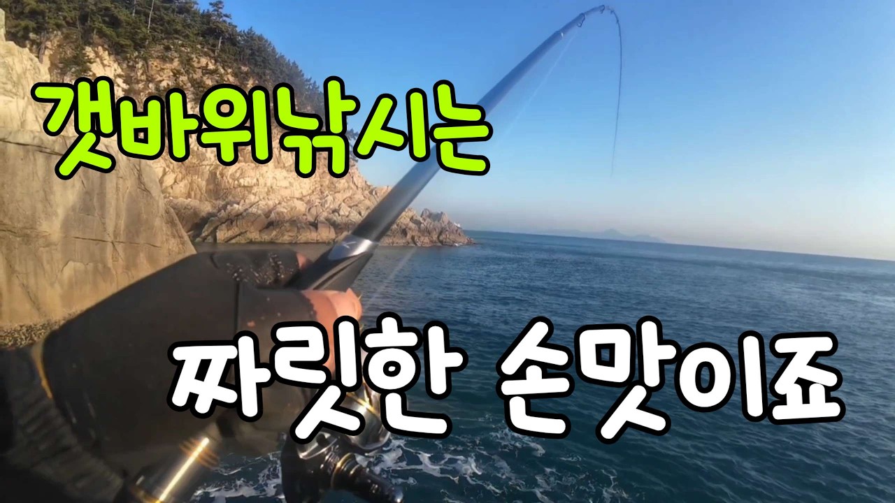 #갯바위낚시  역시 짜릿한 손맛이 끝내줍니다