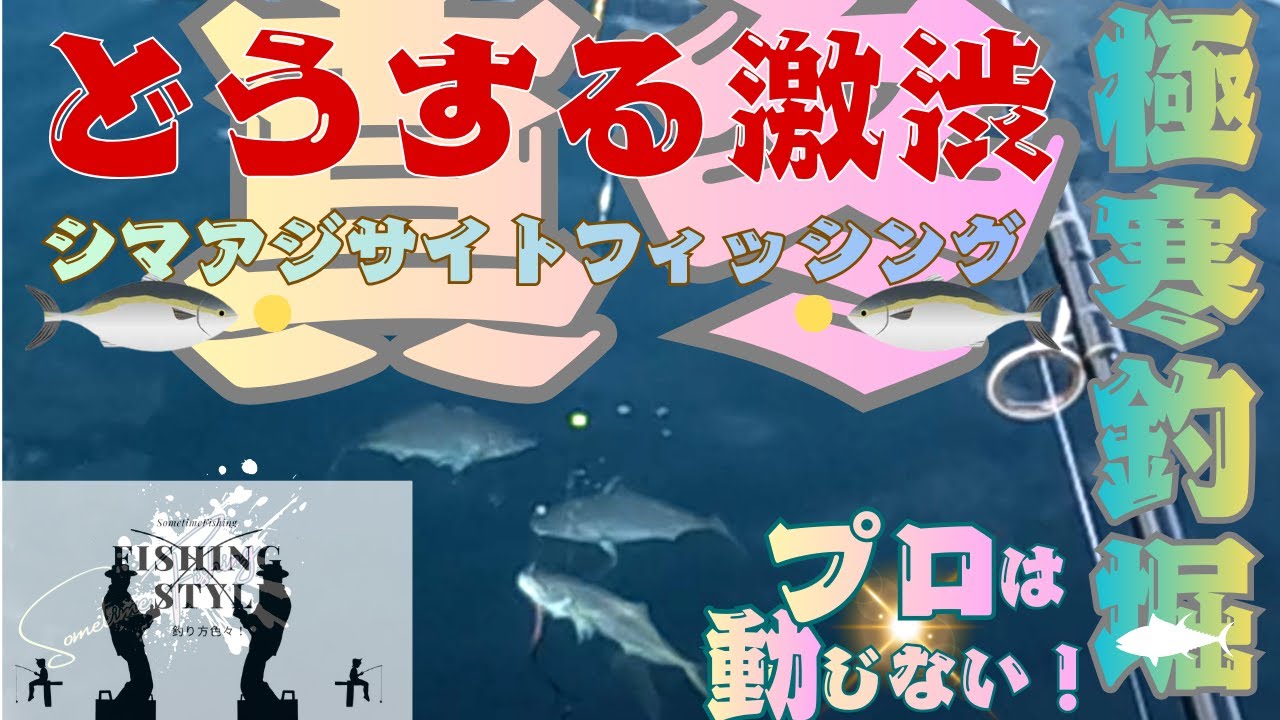 【海上釣堀】極寒釣堀!釣りフェスティバルの後は林さんとみうら海王釣行～激渋～