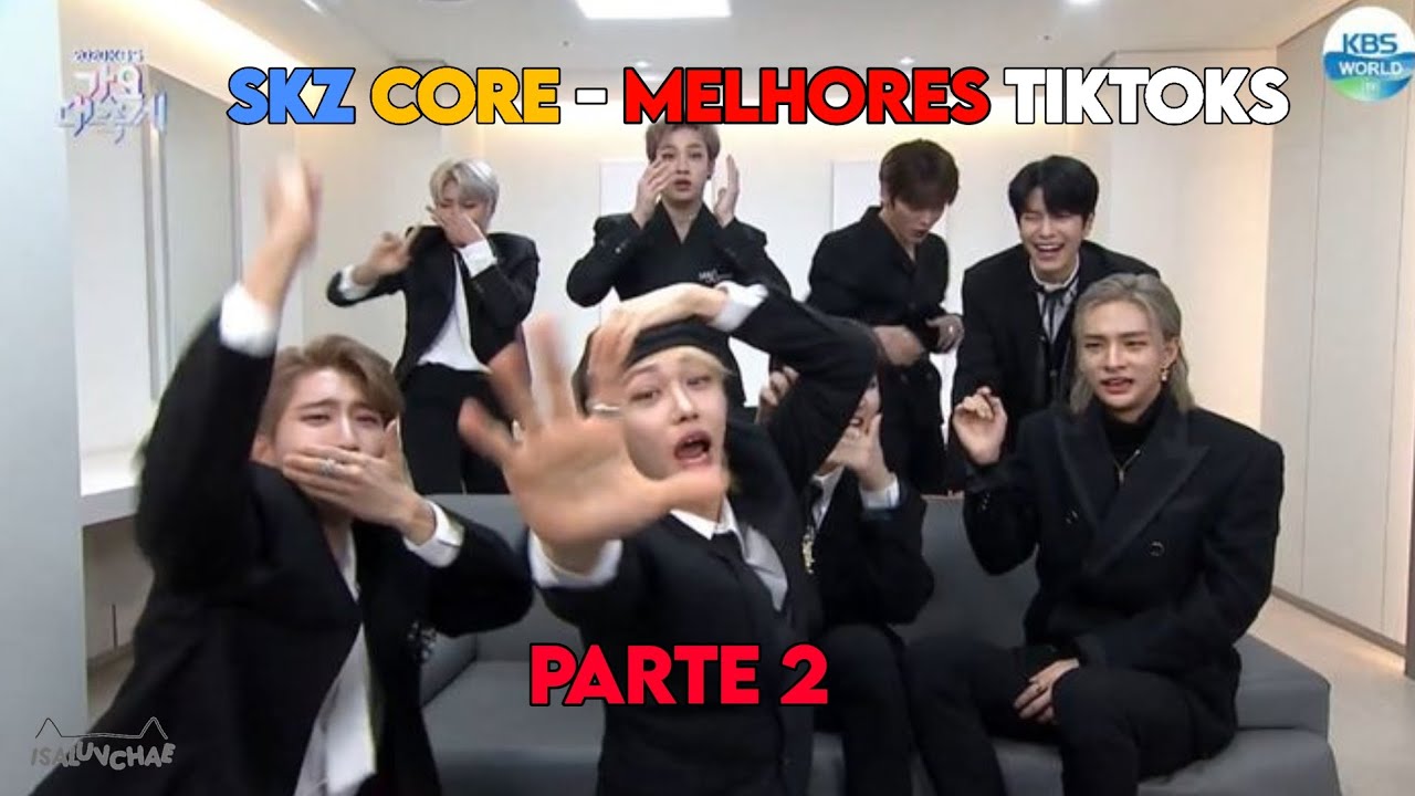 STRAY KIDS MELHORES TIKTOKS - PARTE 2 