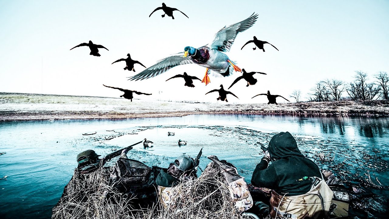 6 DECOYS 24 MALLARDS ON FROZEN POND!