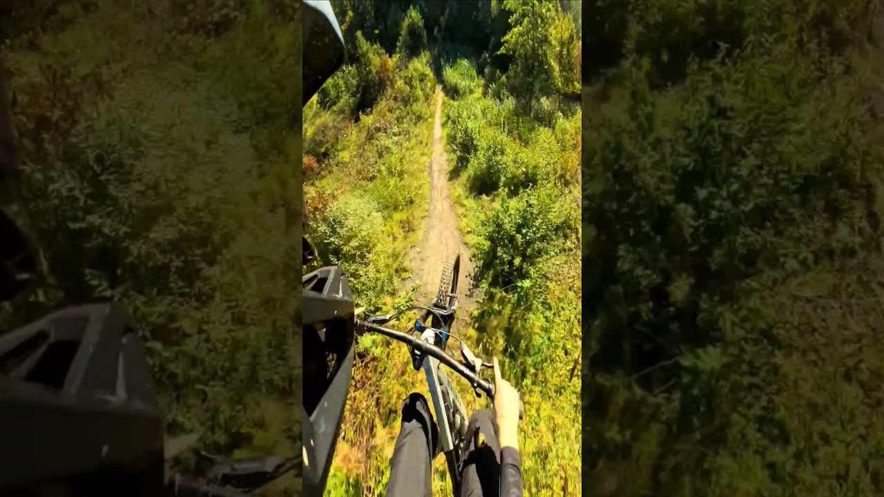Sick freeride line at Halde Hoppenbruch! #mtb #bike #cycling #sports #xtreme #trending #shorts #pov