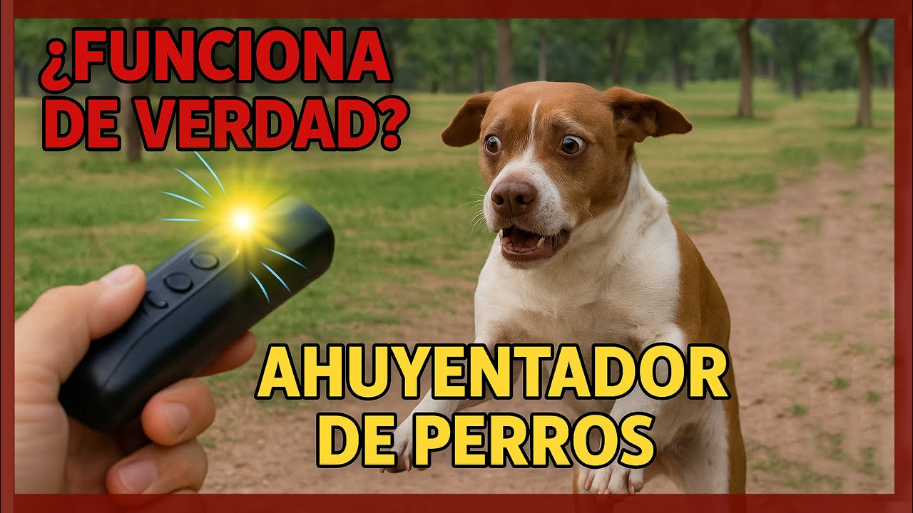 Ahuyentador Ultrasónico de Perros | ¡Protégete de los Callejeros! 🐶🚫🔊 