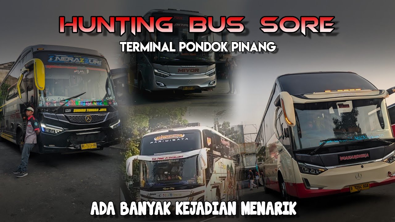 ADA UNI SINCHANN⁉️⁉️ MECCA MAIN KE PONPIN ⁉️⁉️ Hunting Bus Paling Hoki di Terminal Pondok Pinang