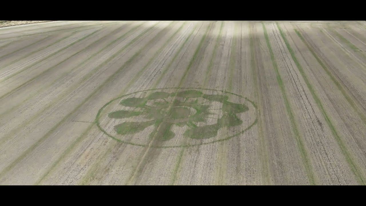 Avebury Ghost Crop Circle 14/8/2025