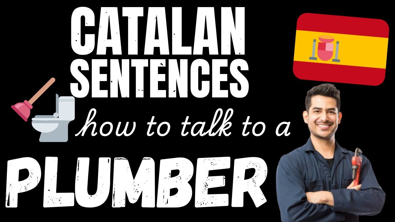 Catalan Dialogues: Talk to your Plumber in Catalan
