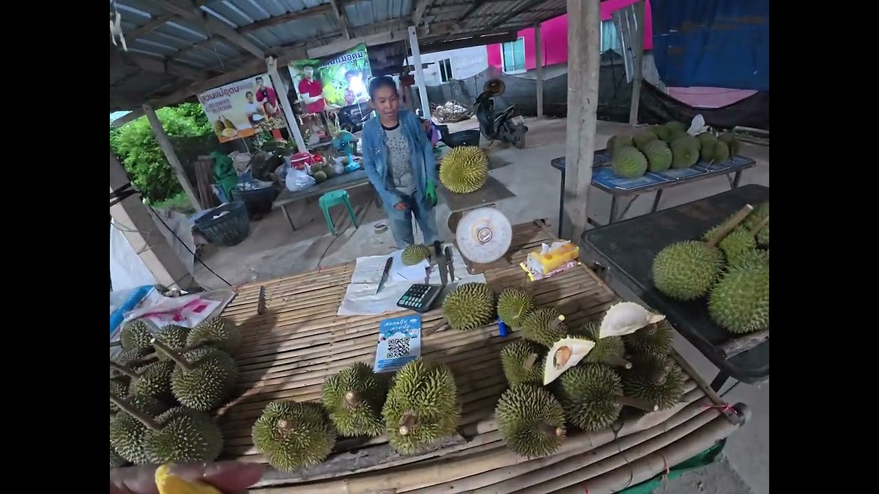 ซื้อทุเรียนปราจีน