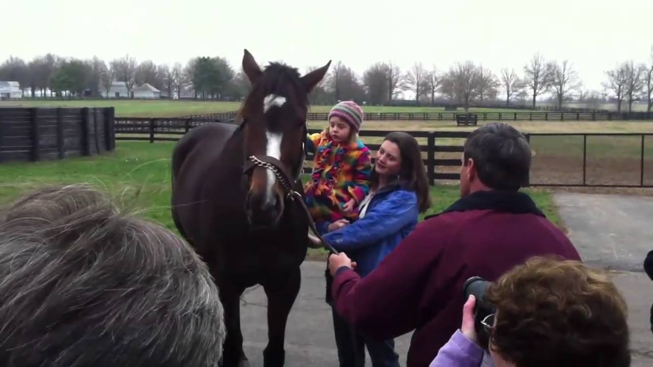 Rachel Alexandra at Stonestreet Farm, 3/25/2011