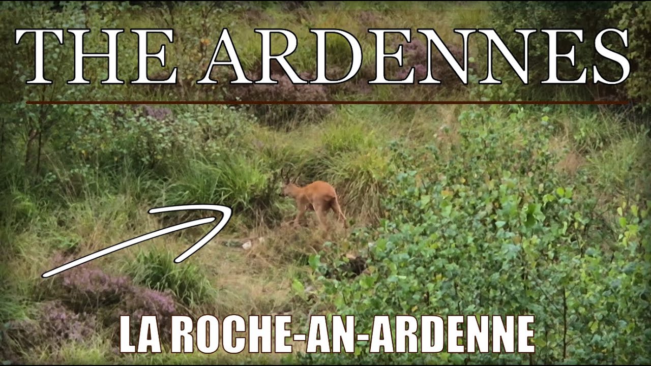 Hiking in the Ardennes - La Roche-en-Ardenne - Forest, Deer & Western Music