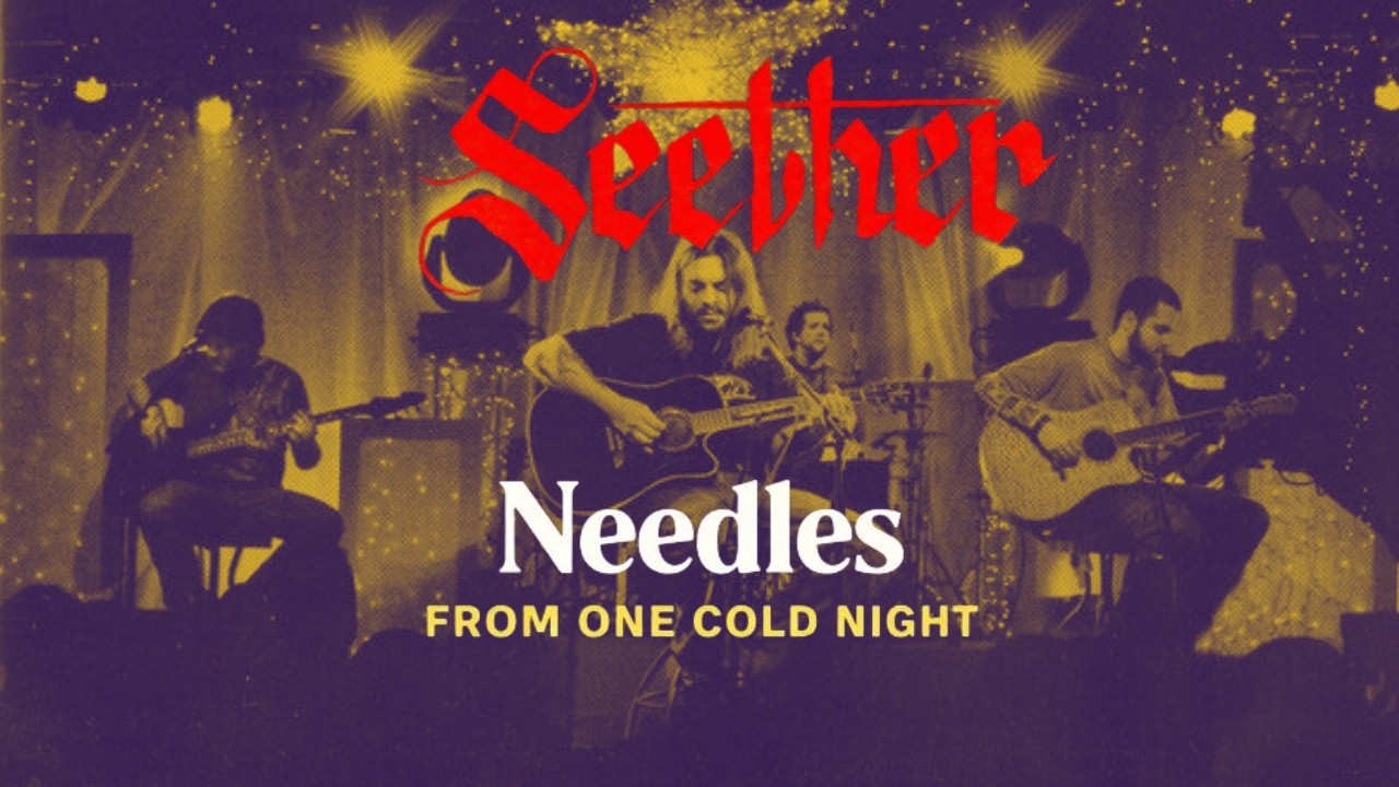 Seether - Needles (from One Cold Night)