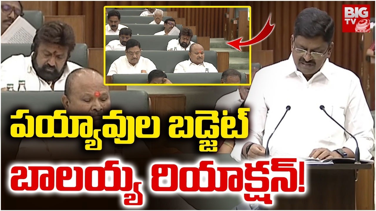 పయ్యావుల బ‌డ్జెట్‌ బాలయ్య రియాక్షన్! | Balakrishna in Assembly : AP Budget Session | BIG TV
