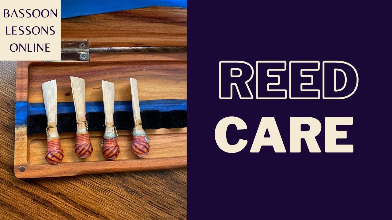How to keep your bassoon reeds clean and safe