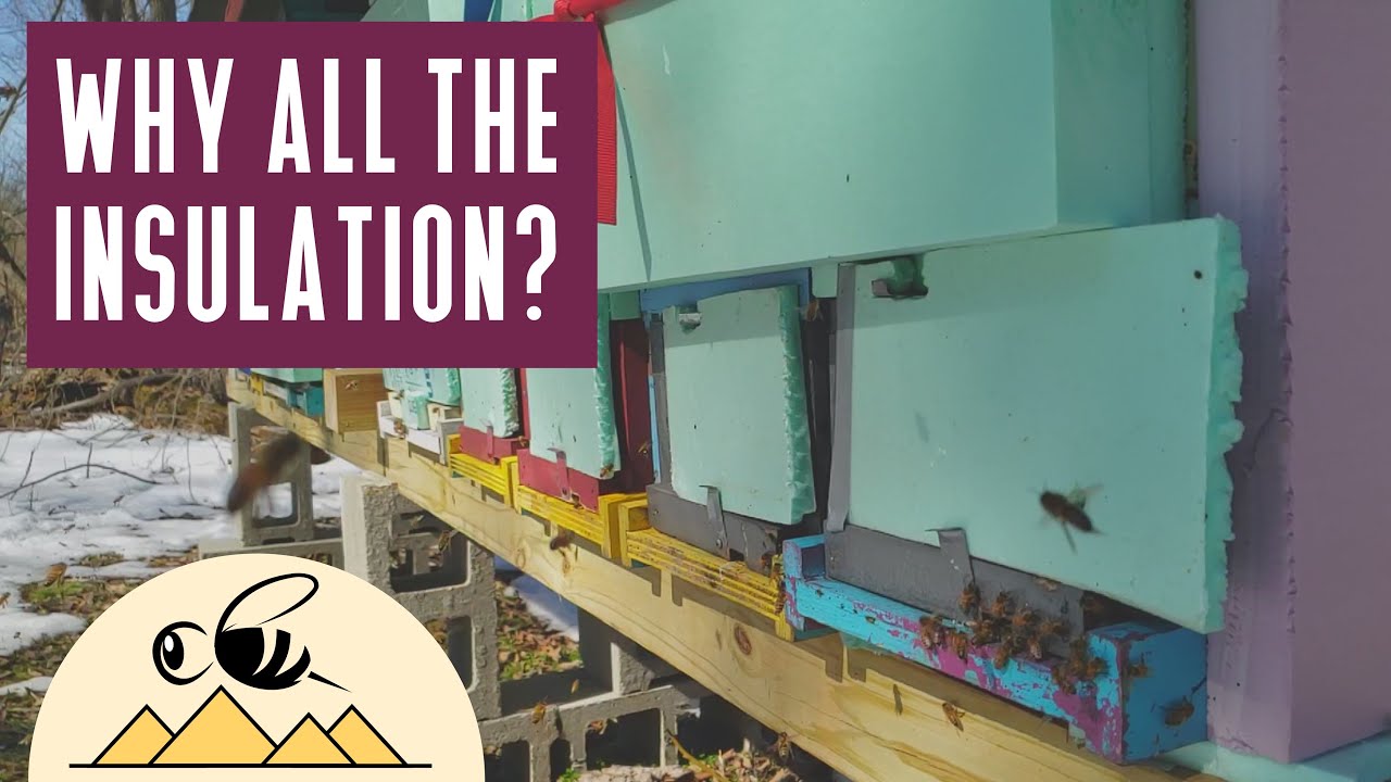 Insulating Beehives with Foam Board