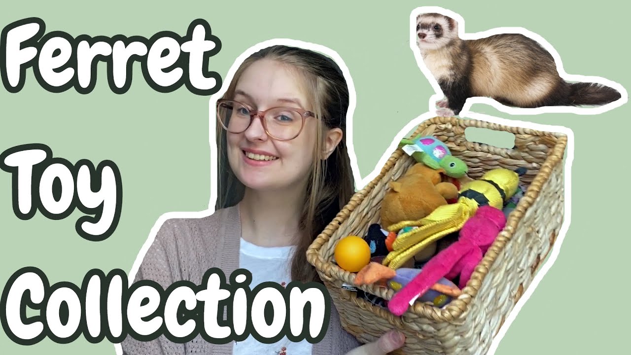 FERRET TOY COLLECTION + Some Life Updates | Pazuandfriends